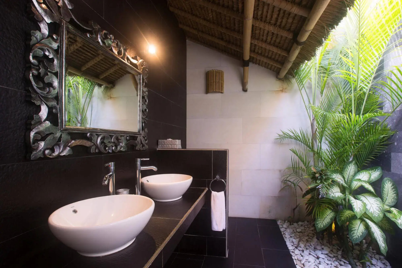 Scallywags Mango Motel