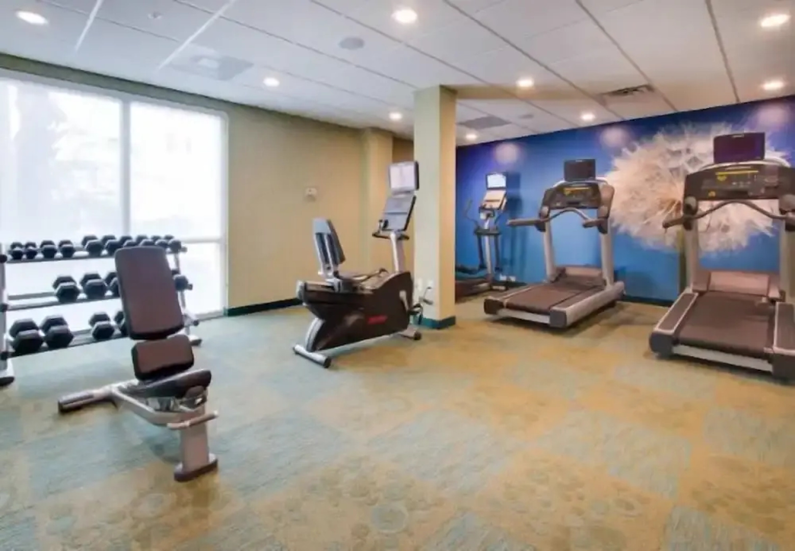 Lexington Vacations Kiss by Stark Hosp