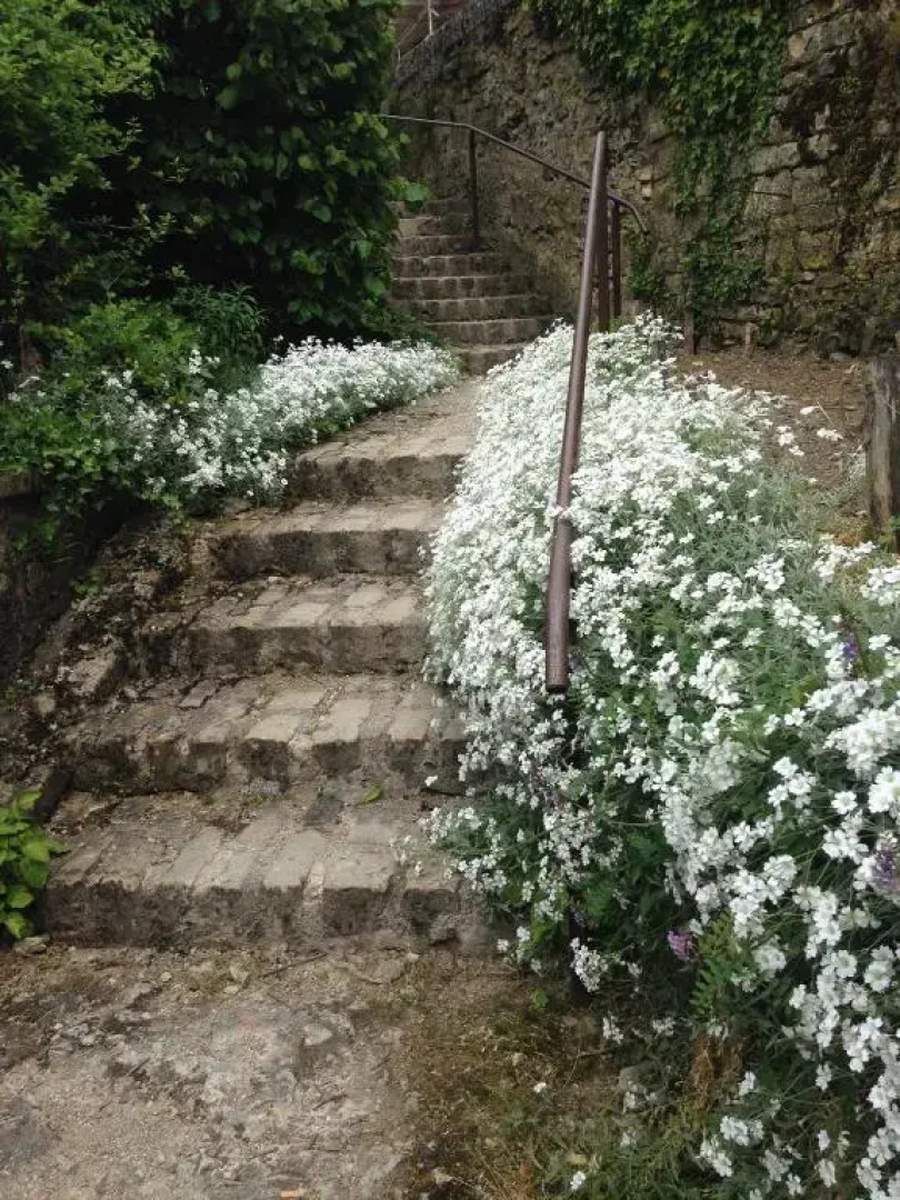 The Good Studio Vezelay