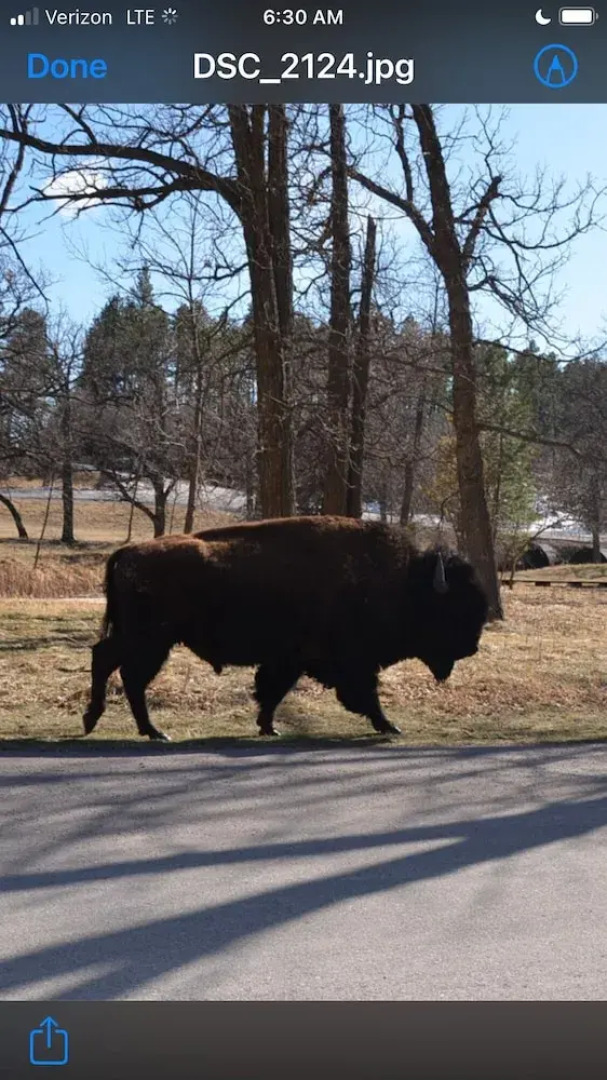 Black Elk Resort Cottages and RV Park