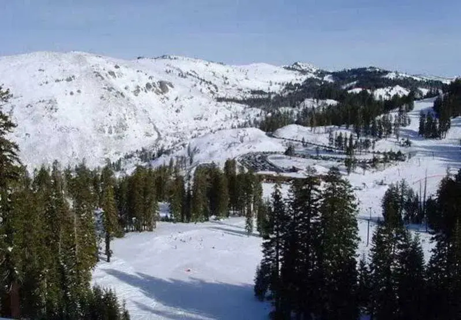 TownePlace Suites Newark Silicon Valley