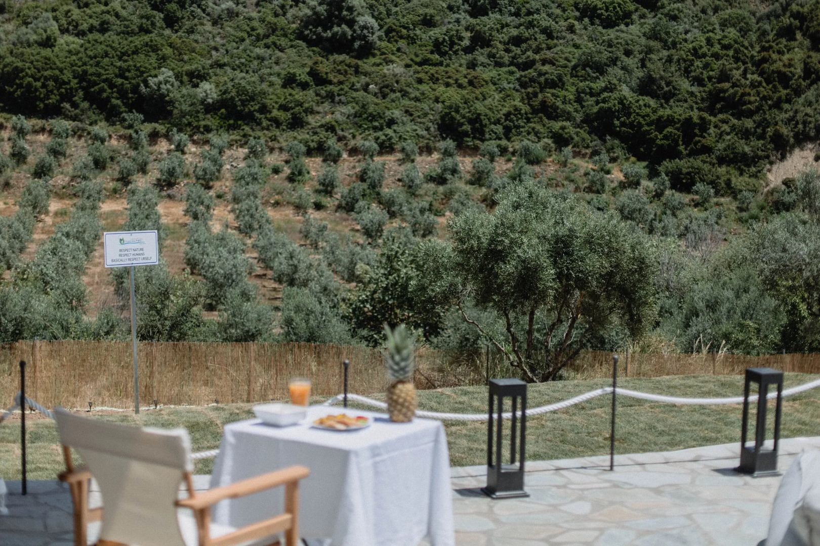 Socrates Organic Village - Wild Olive