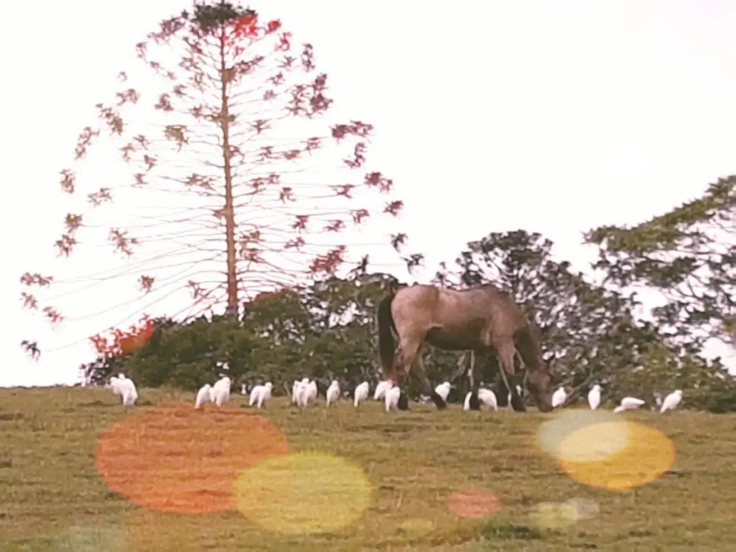 Eumundi Mountain Retreat