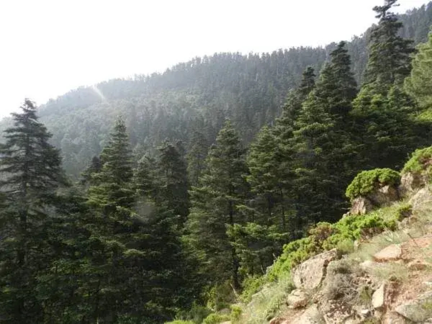 Casas Rurales Jardines Del Visir