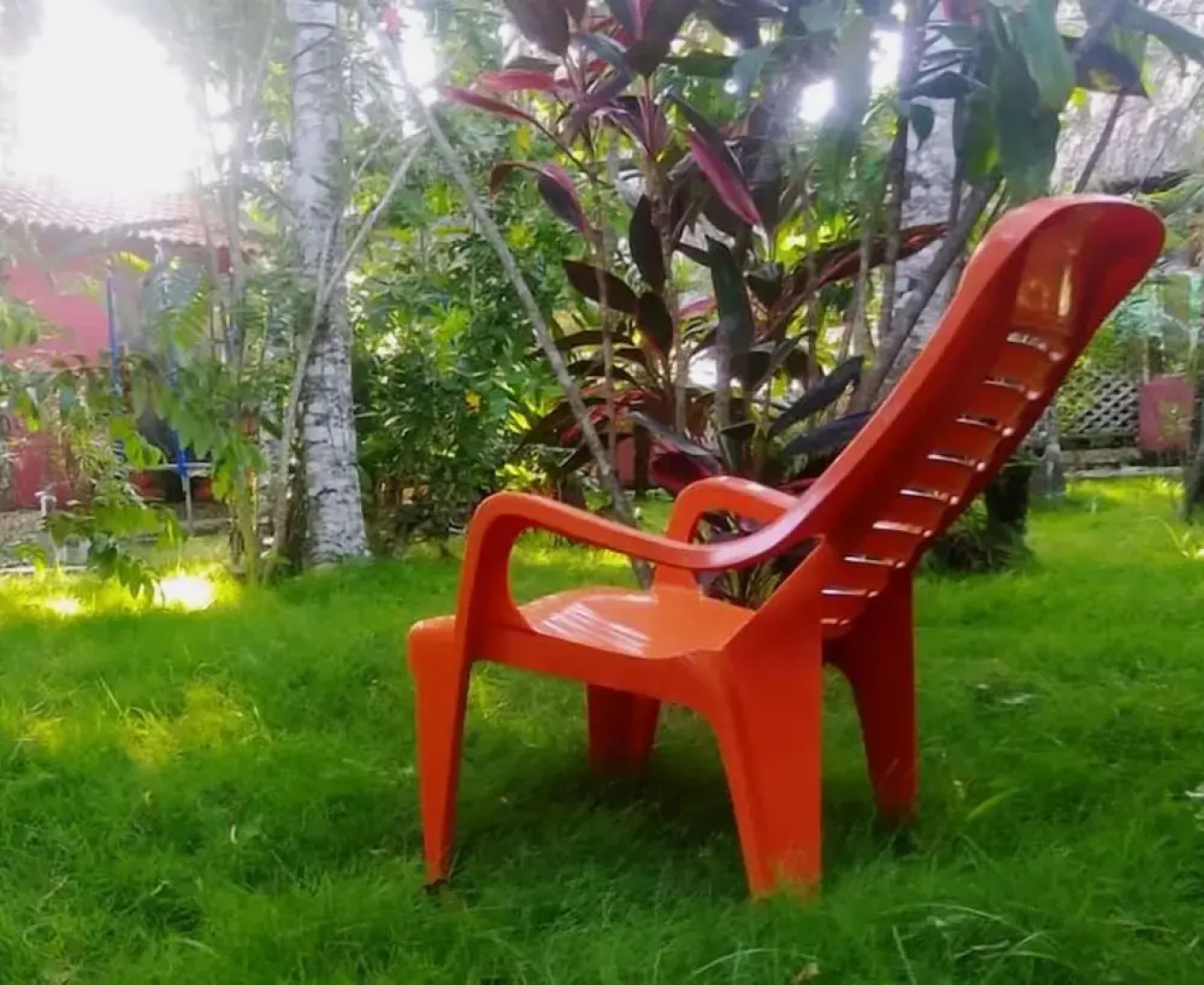 Green Jungle Hotel y Restaurante