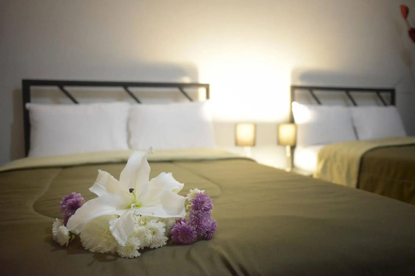 Hotel Plaza Providencia