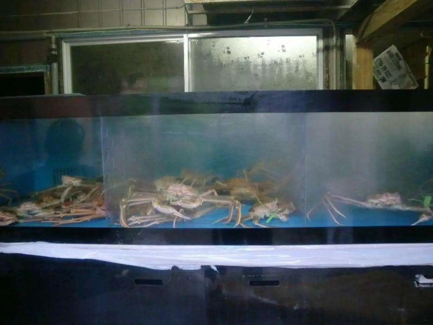 Minshuku Ryokan Miuraya