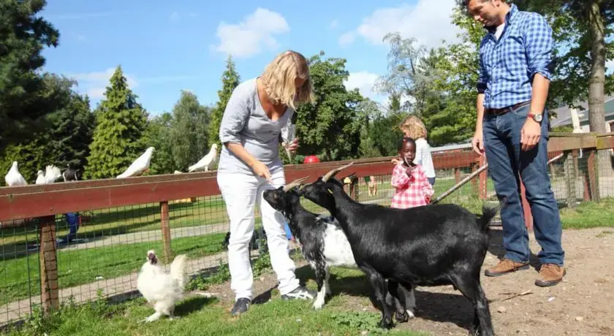 Vakantiepark Het Roekenbosch