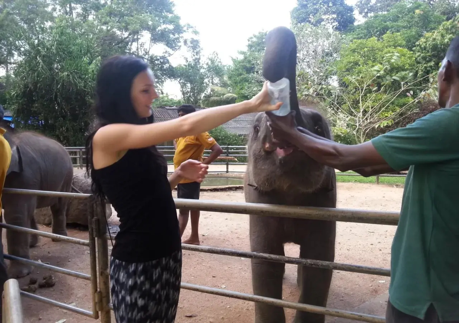 Elephant Reach Villa Pinnawala