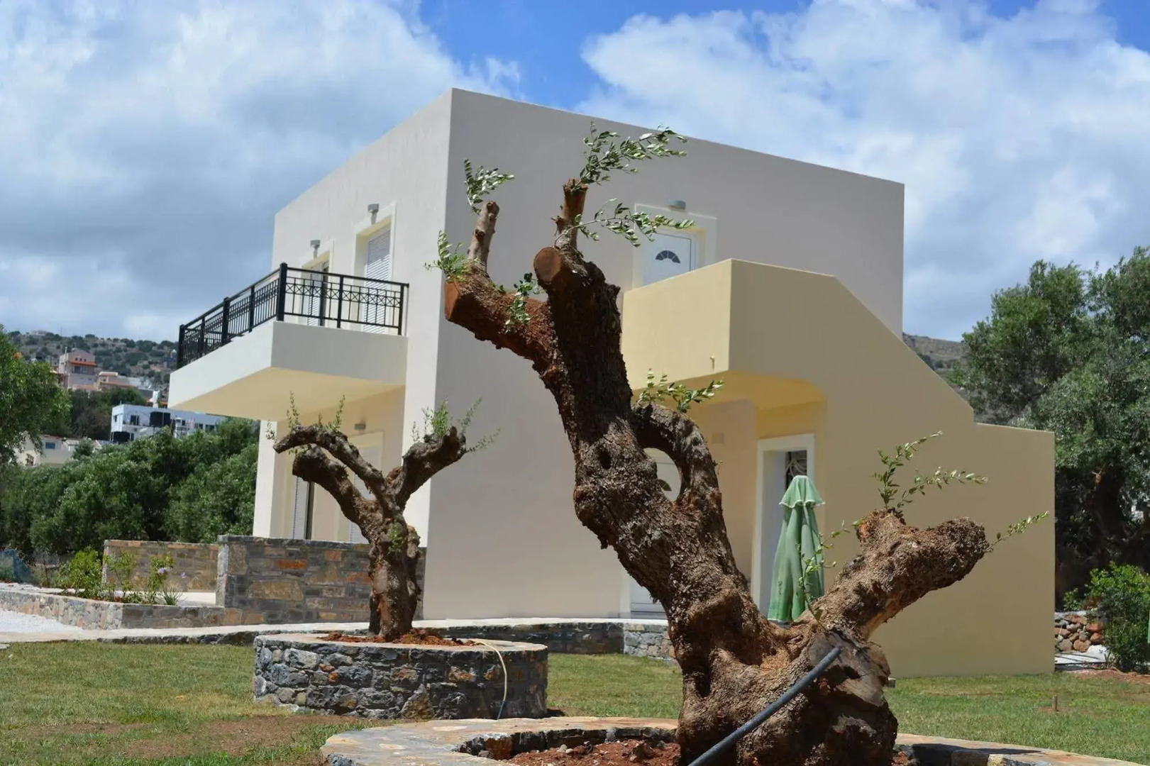 Olive Grove Apartments