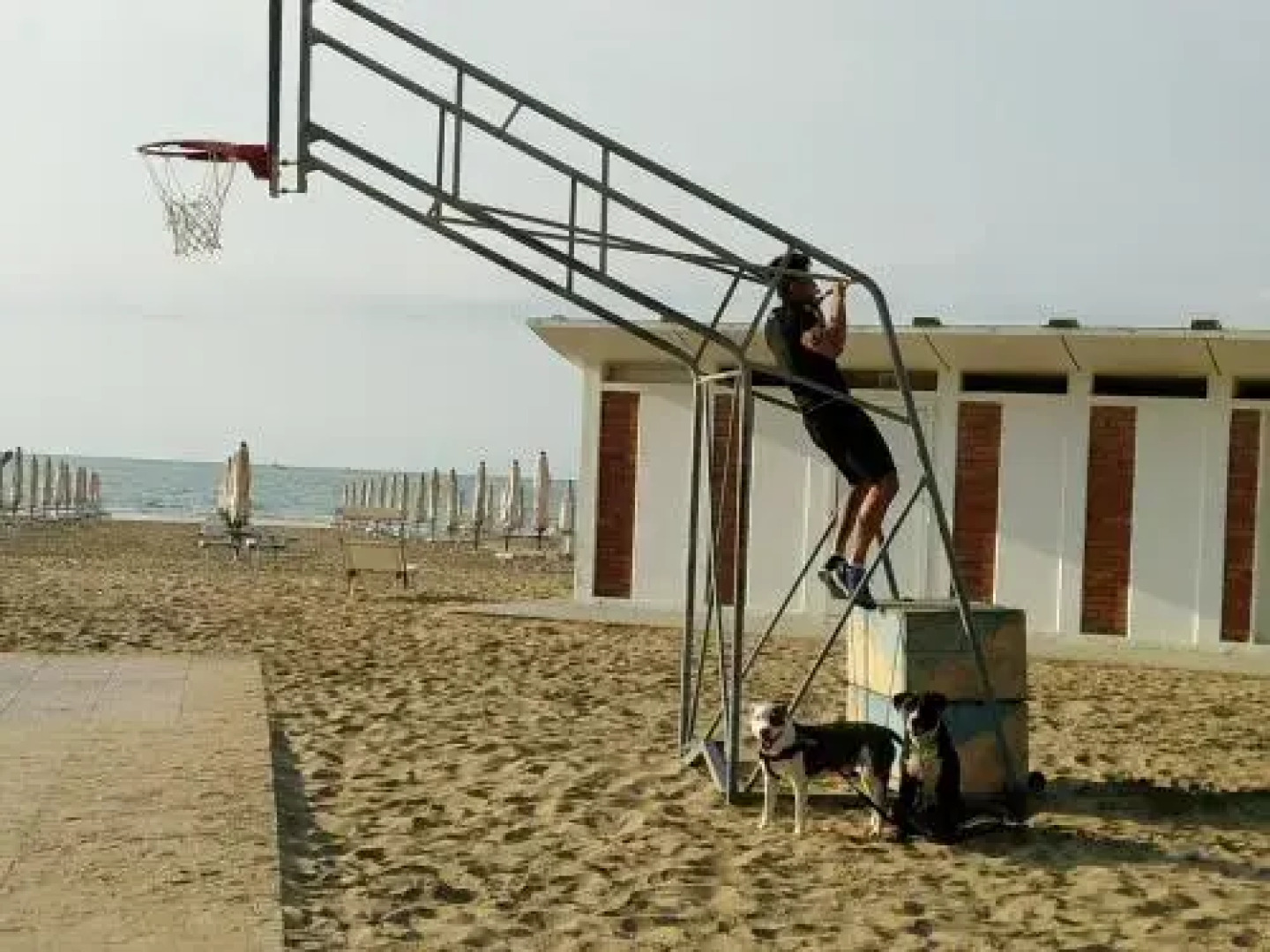 Signora Ruth - Aprilia Residence