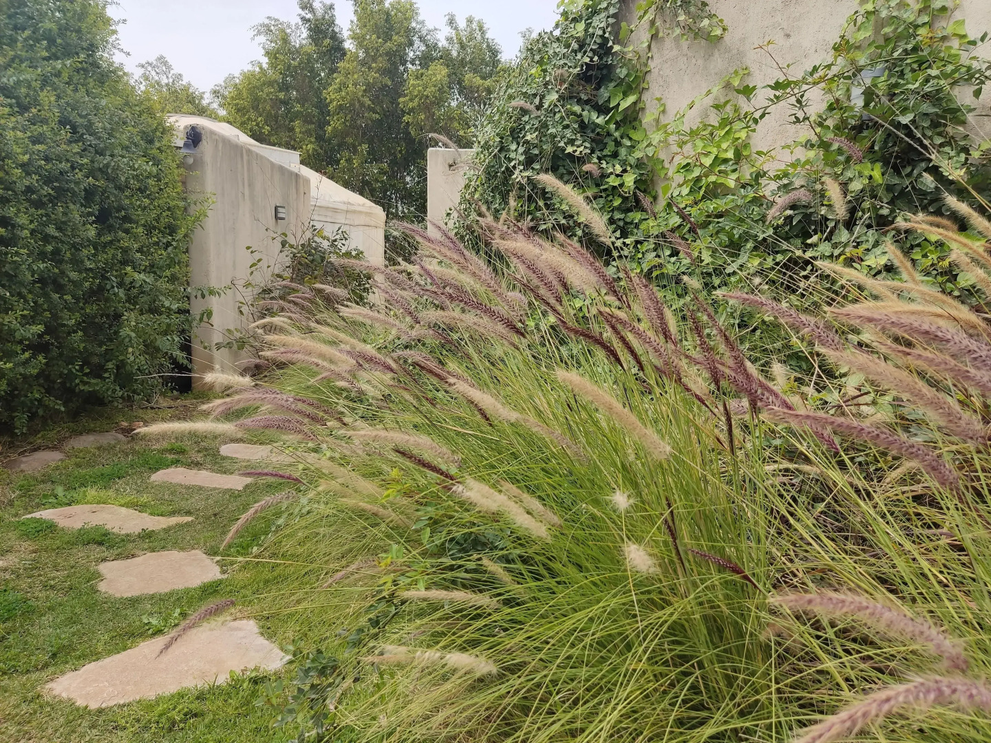 Helios Luxury Suites