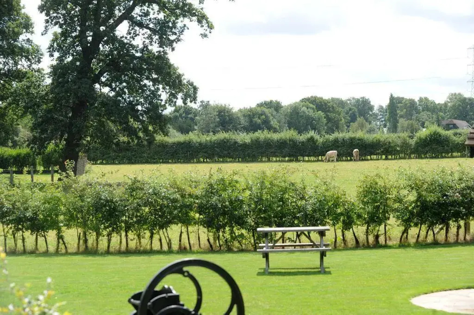 Hill Top Farm Lodges