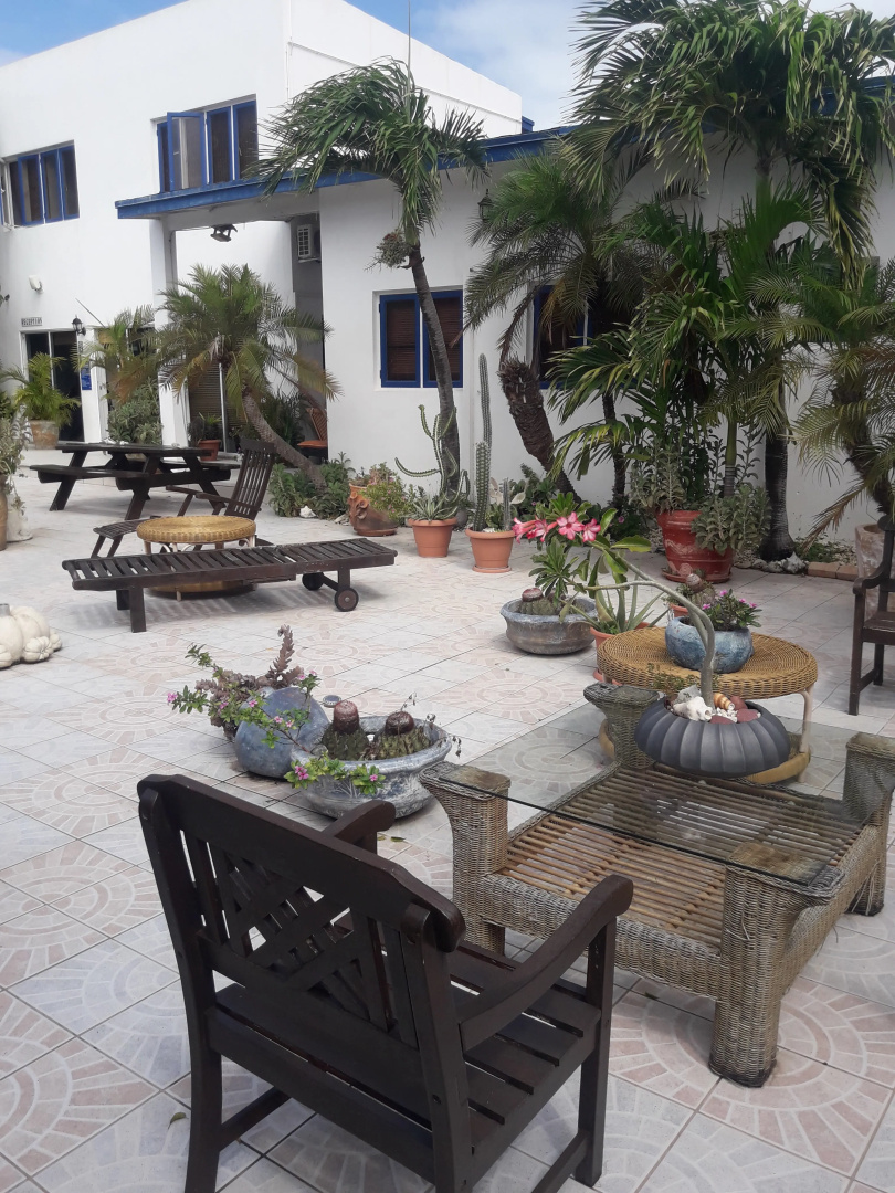 Palmita Hotel Hostel