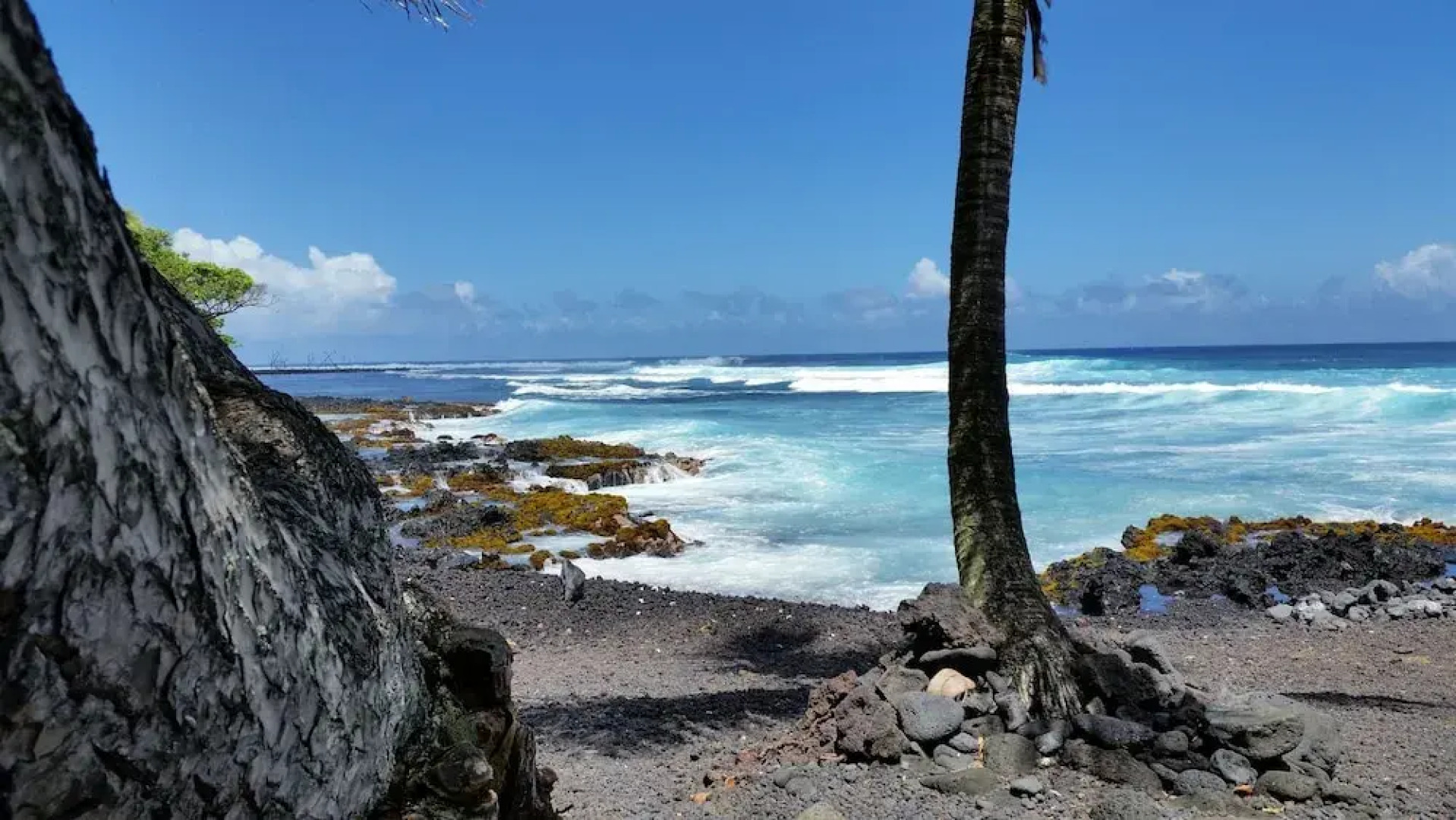 Hale Hamakua 3 Bedroom Home by RedAwning