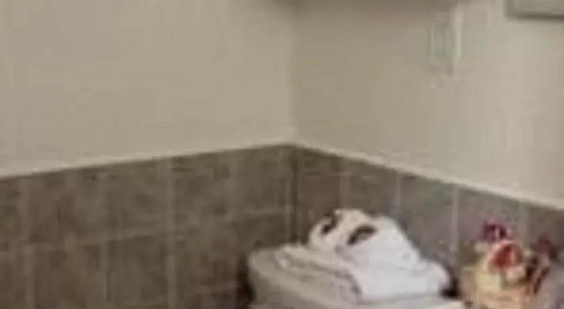 The Blue Inn At North Fork