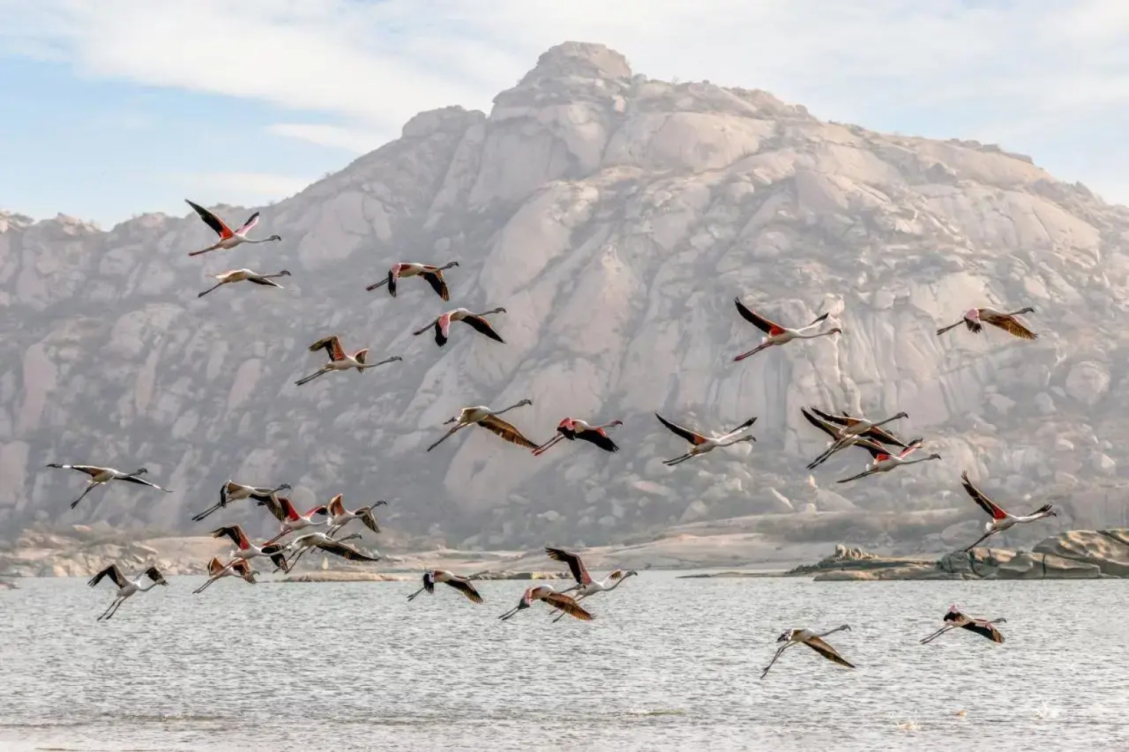 Lords Eco Inn Jawai-Sumerpur