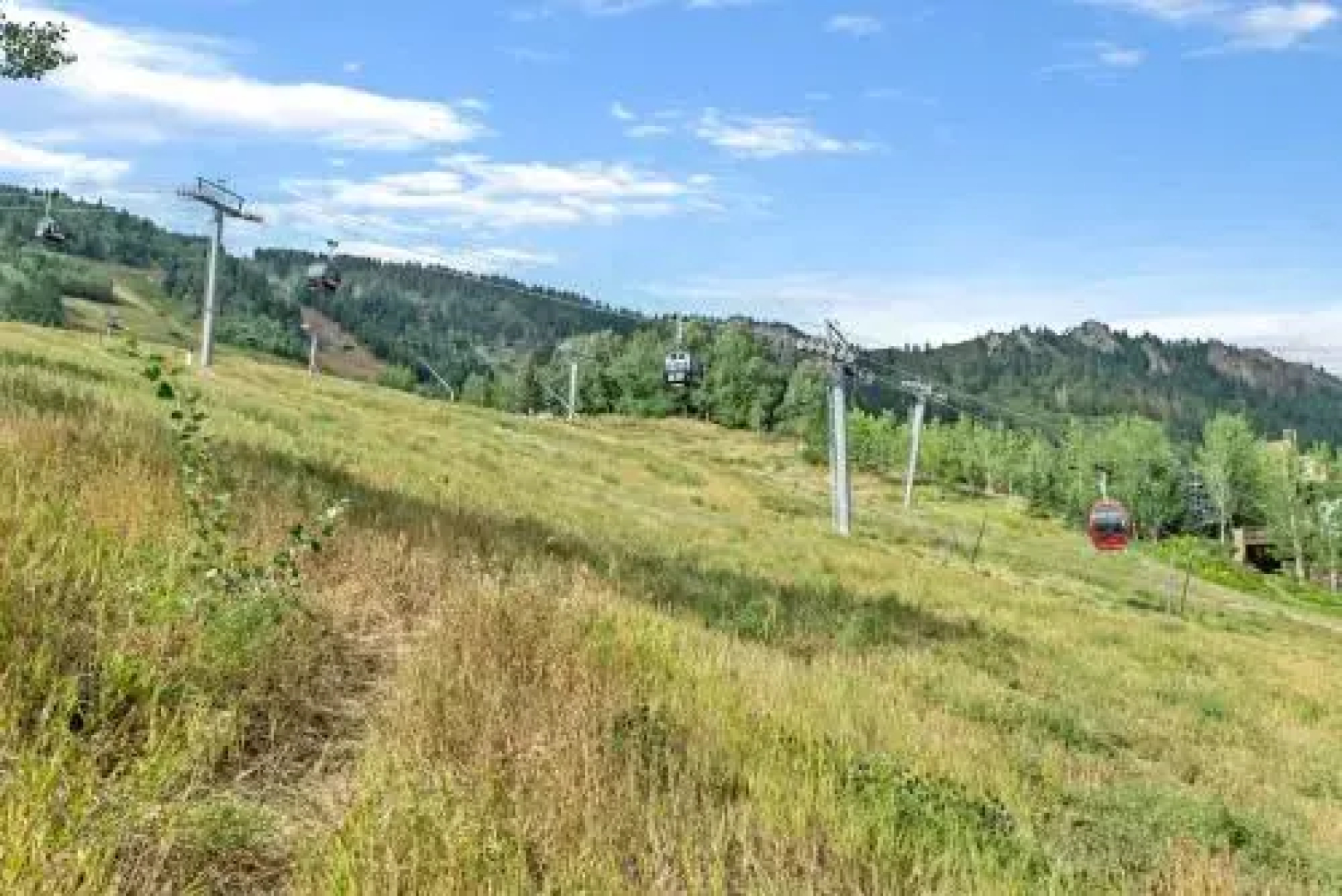 Deluxe Three Bedroom - Aspen Alps 201