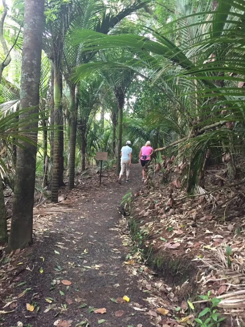 Okura River Estate BB