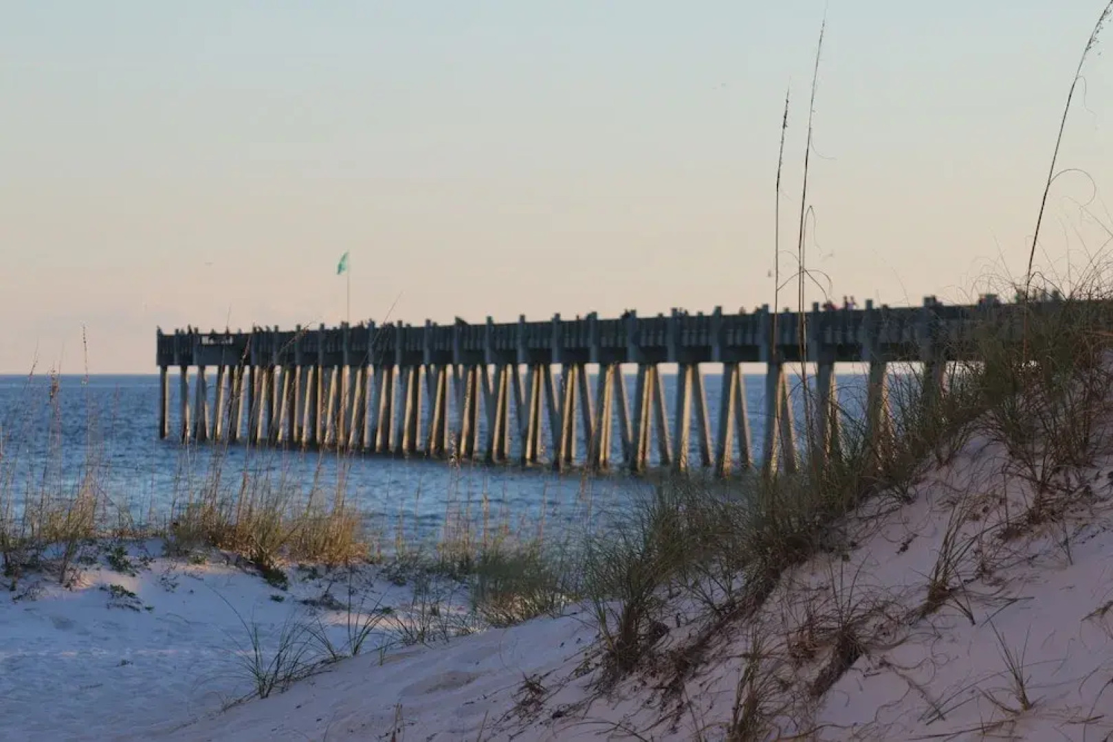 Emerald Dolphin by Surfside VR