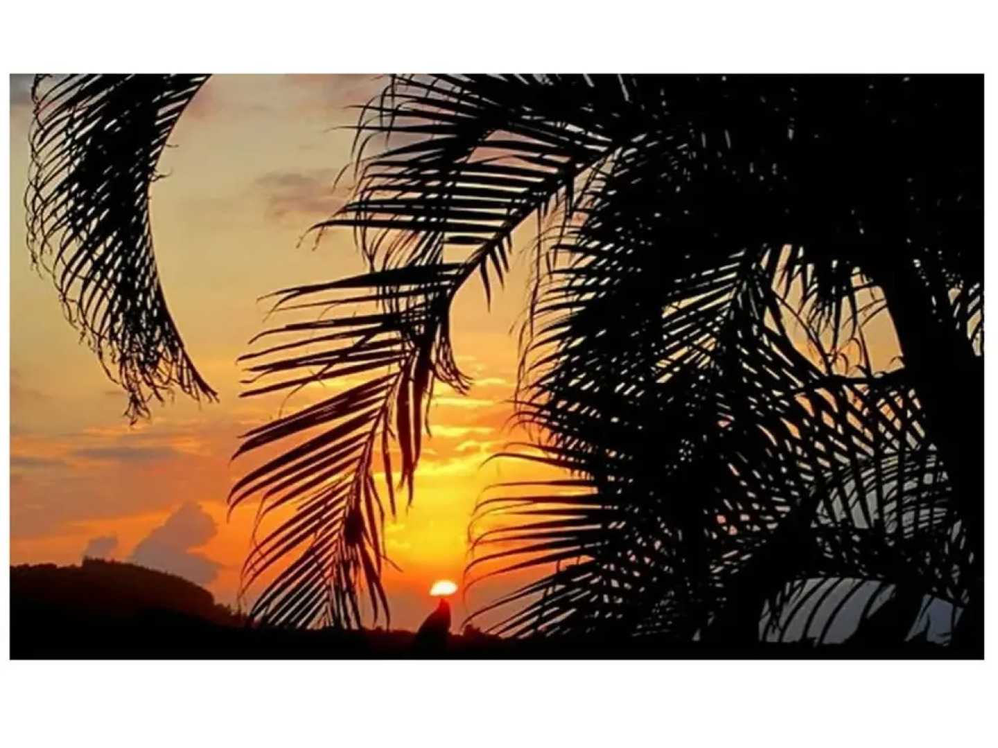 Adventure in Paradise