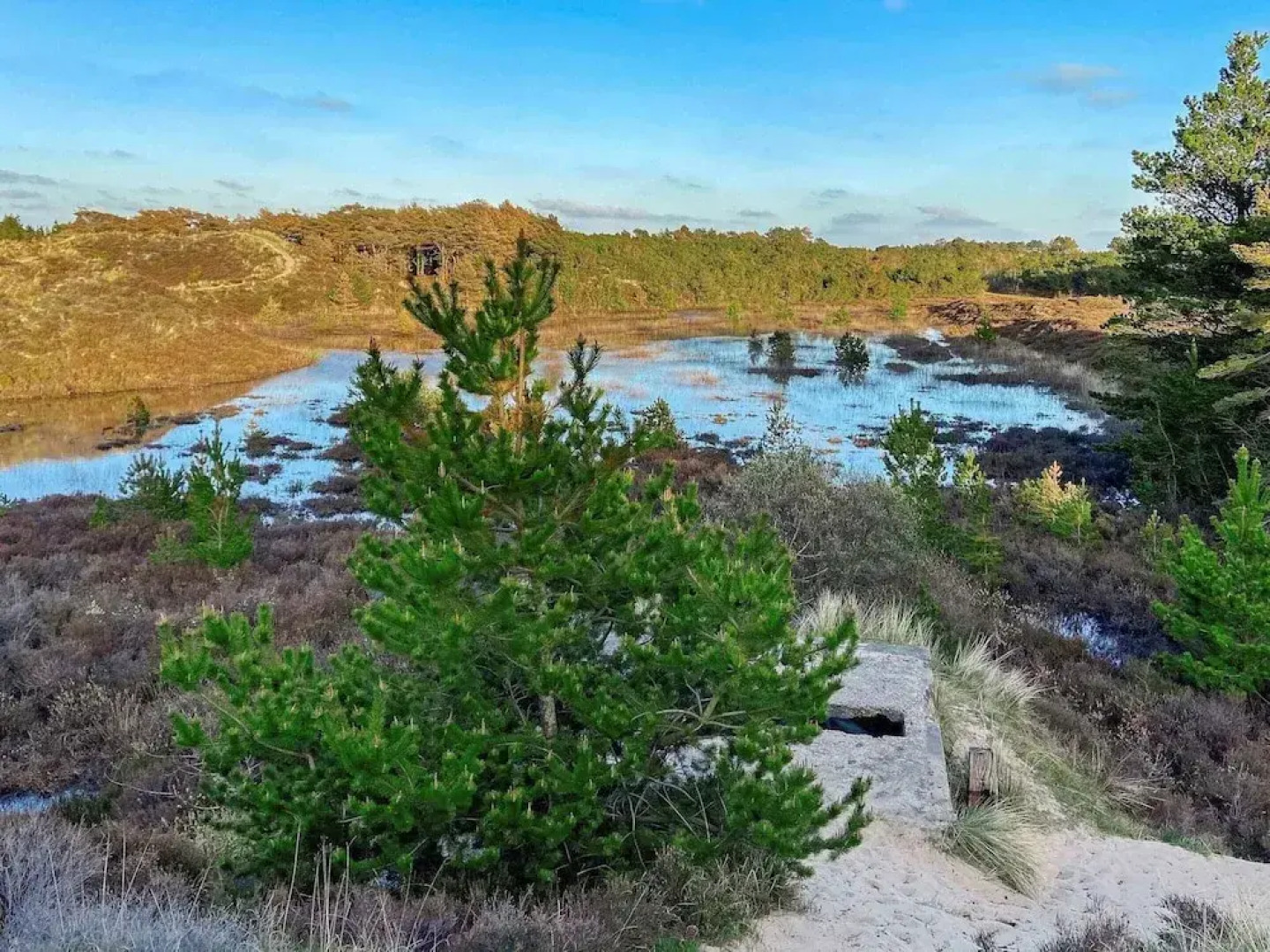 6 Person Holiday Home in Romo