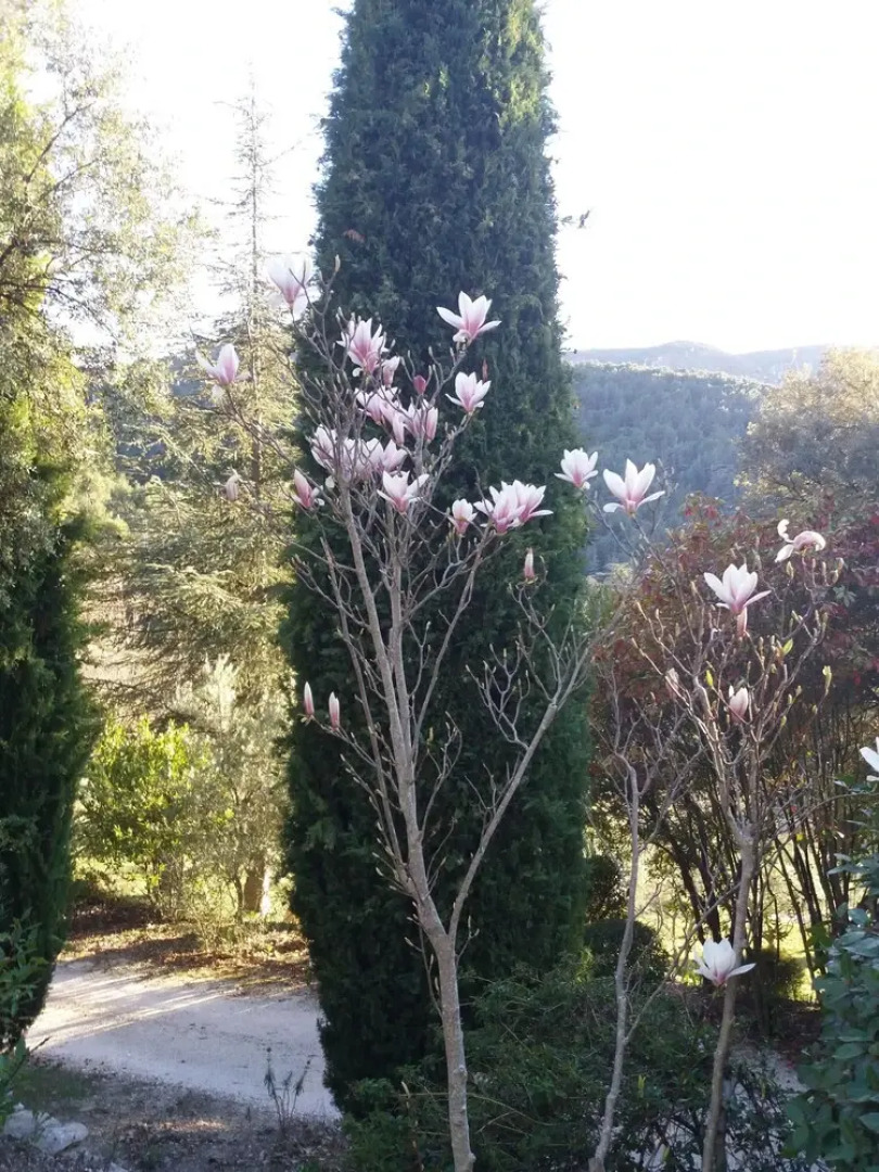 Luberon's Hidden Gem