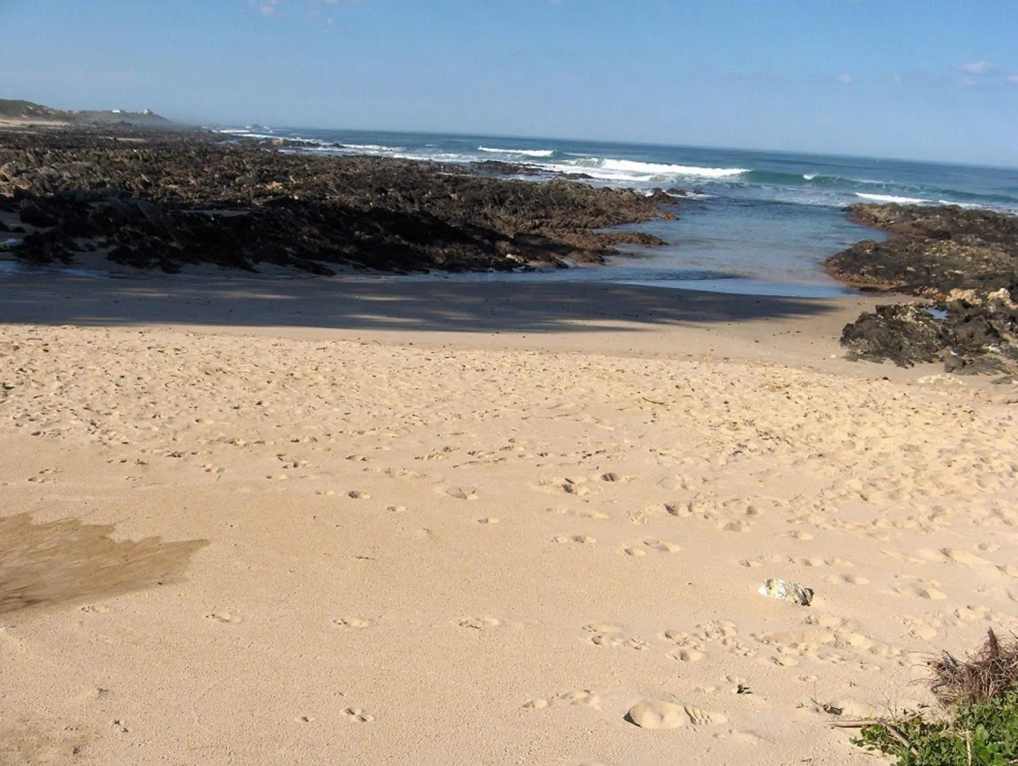 Sea Otters Lodge