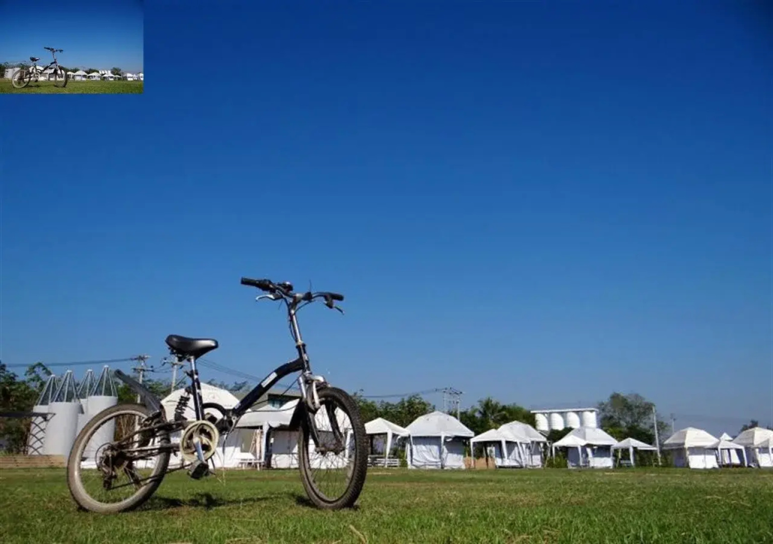 The Camping Field