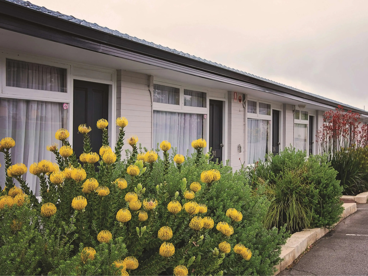 Mandala Ace Albany Hotel