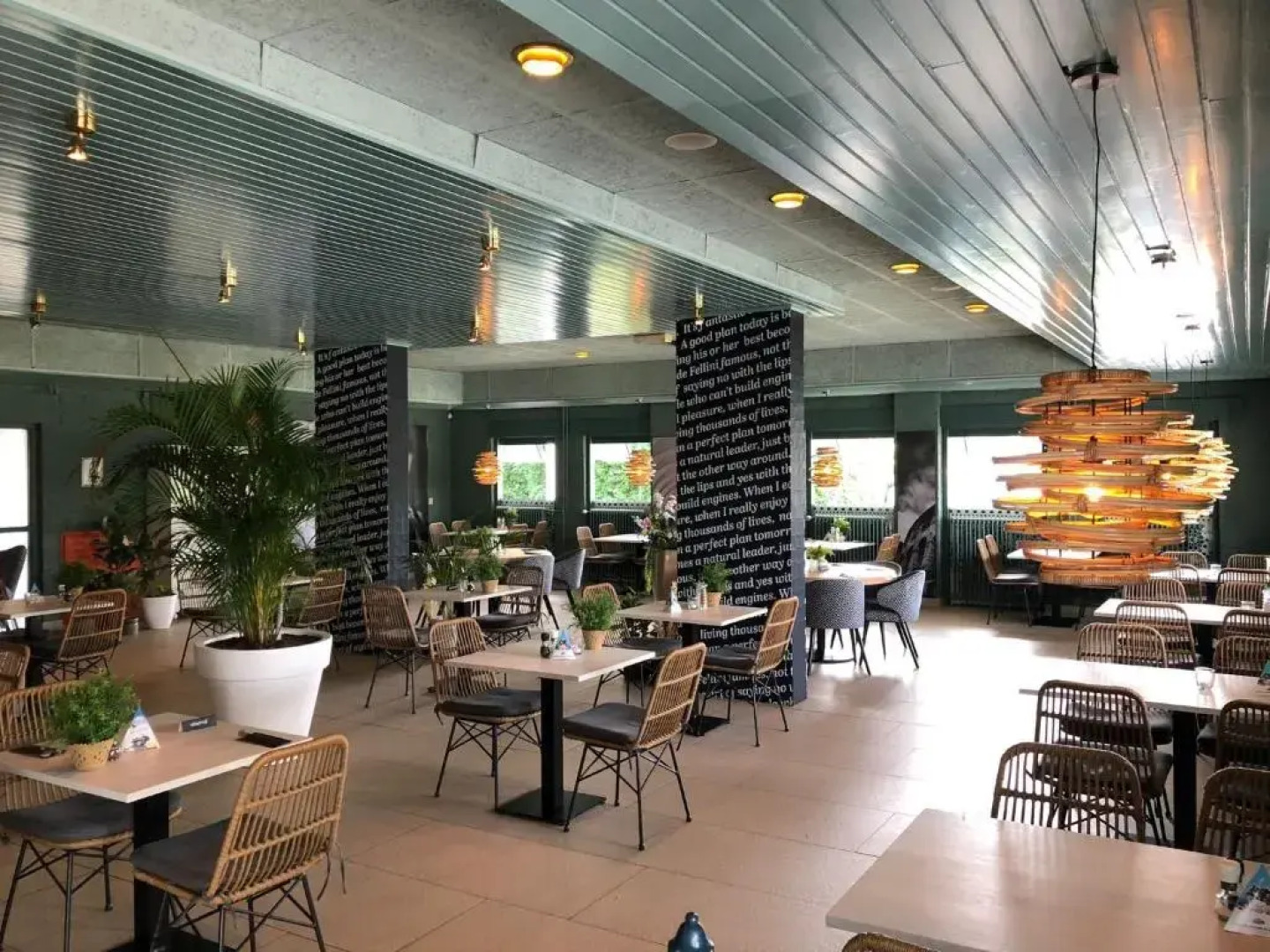 Park Schoneveld: Duinroos 123