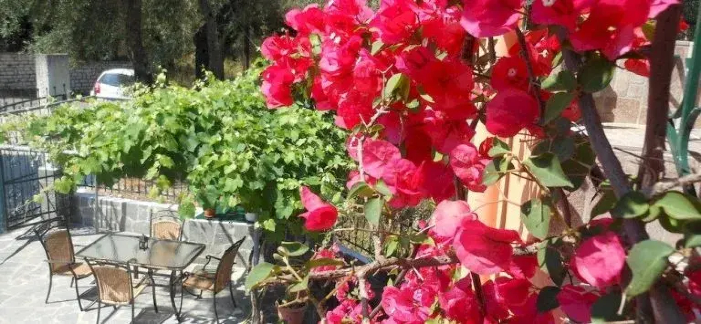 Ziogas Luxury Apartments