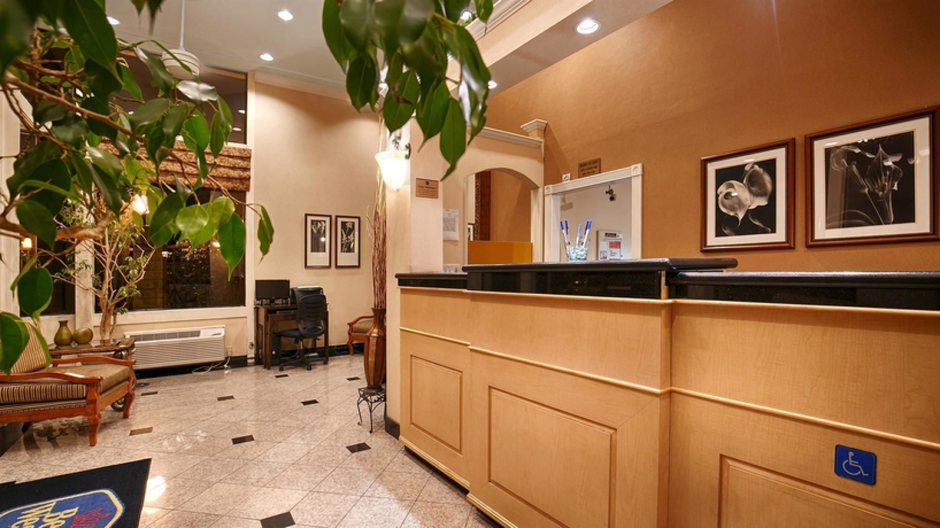 Medina Azahara (Complejo Califa I-II)