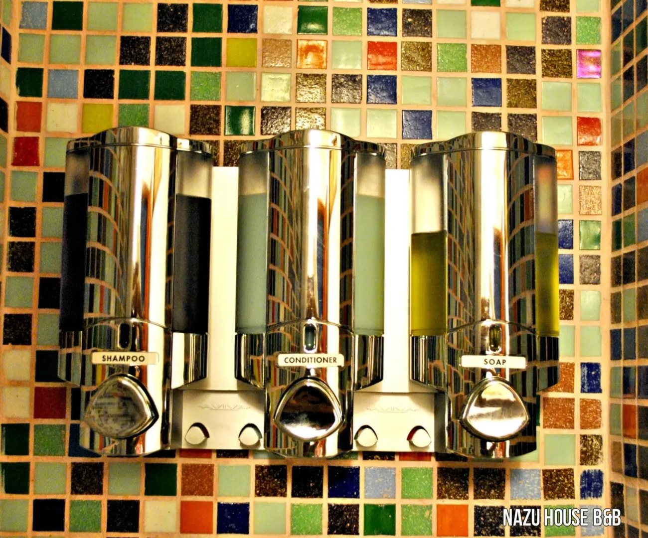 Iguanazu Bed & Breakfast