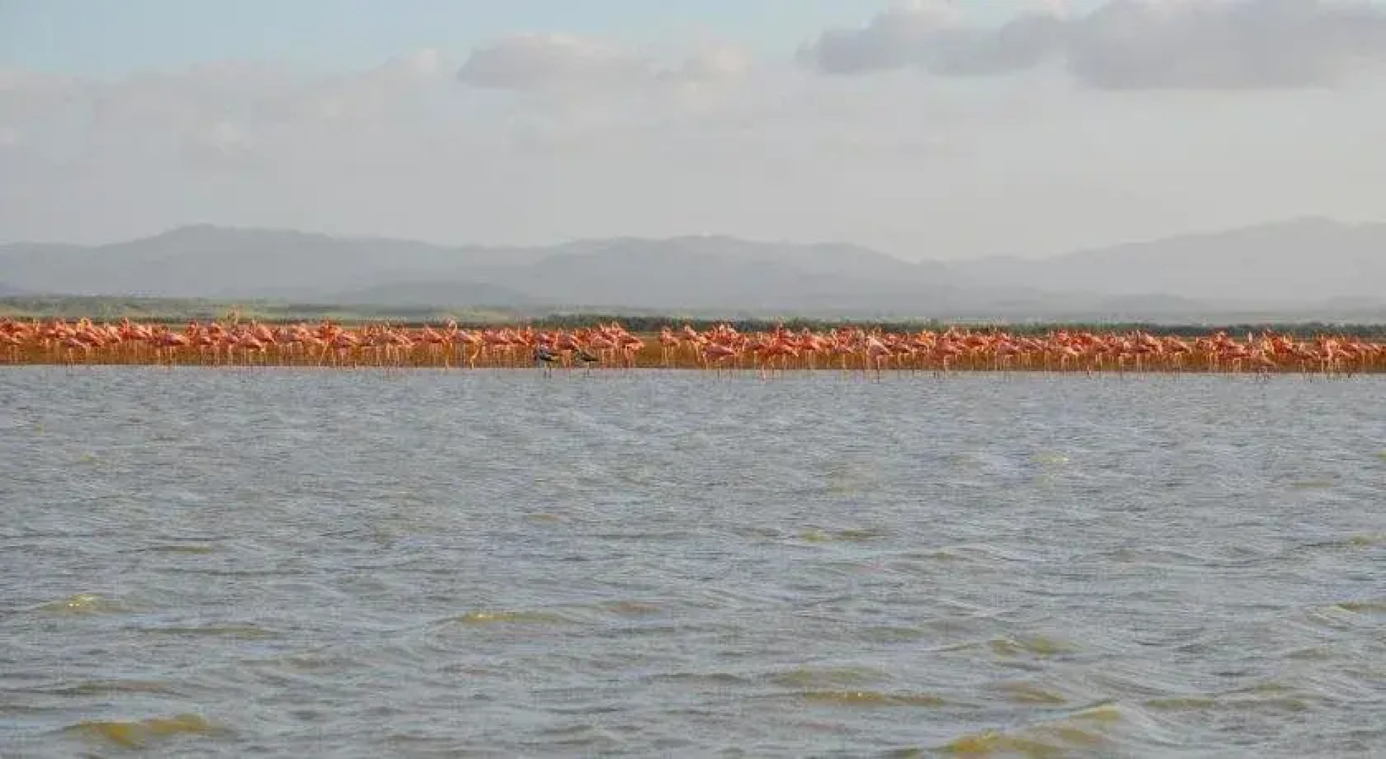 Bona Vida Hostel la Tercera