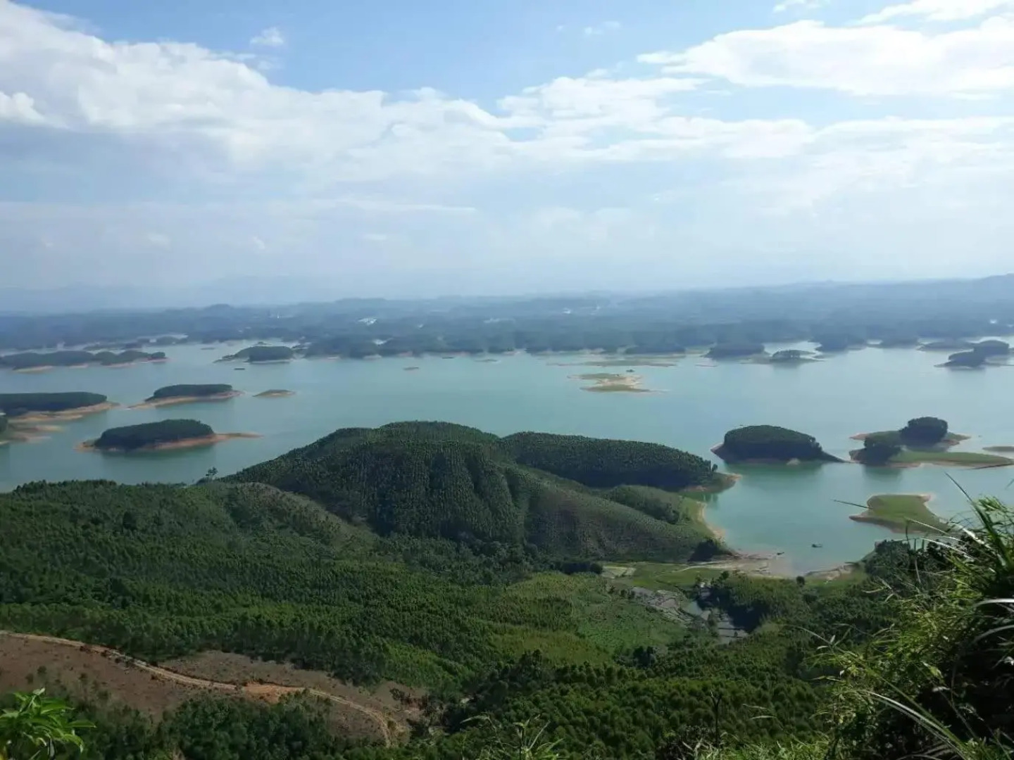 Vu Linh Palm House Eco Homestay