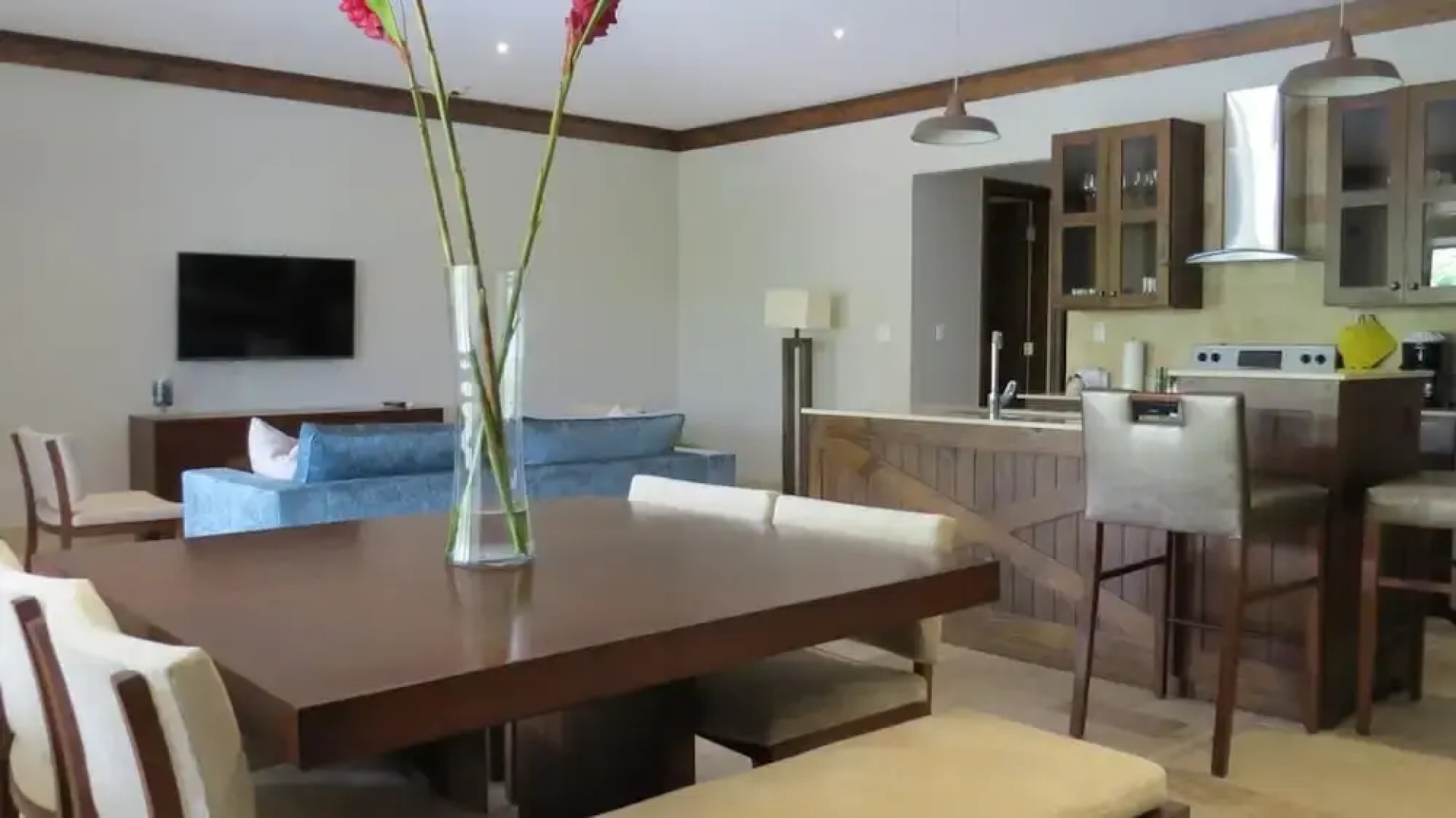 Paseo Suites