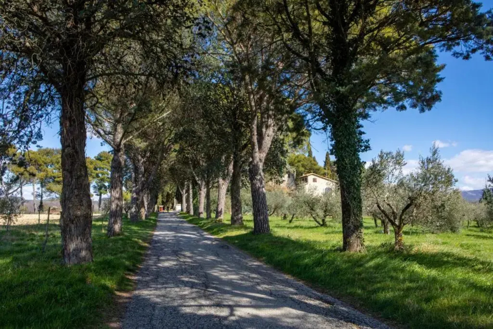Borgo Petroro