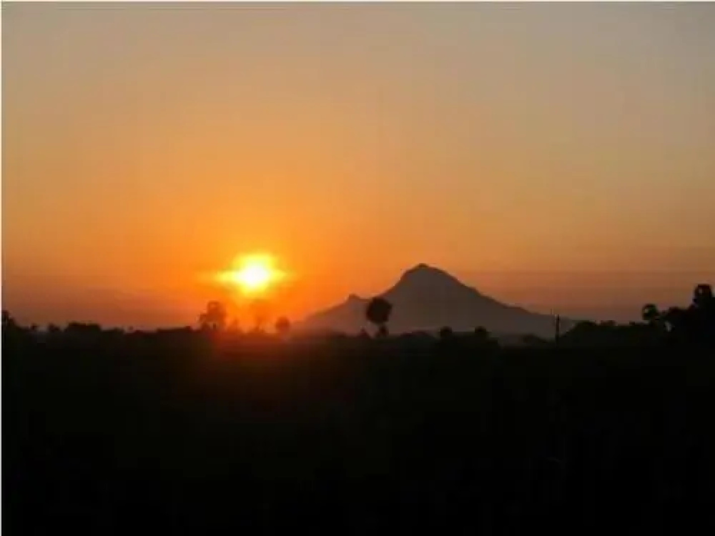 Tiru Arunachala Guest House