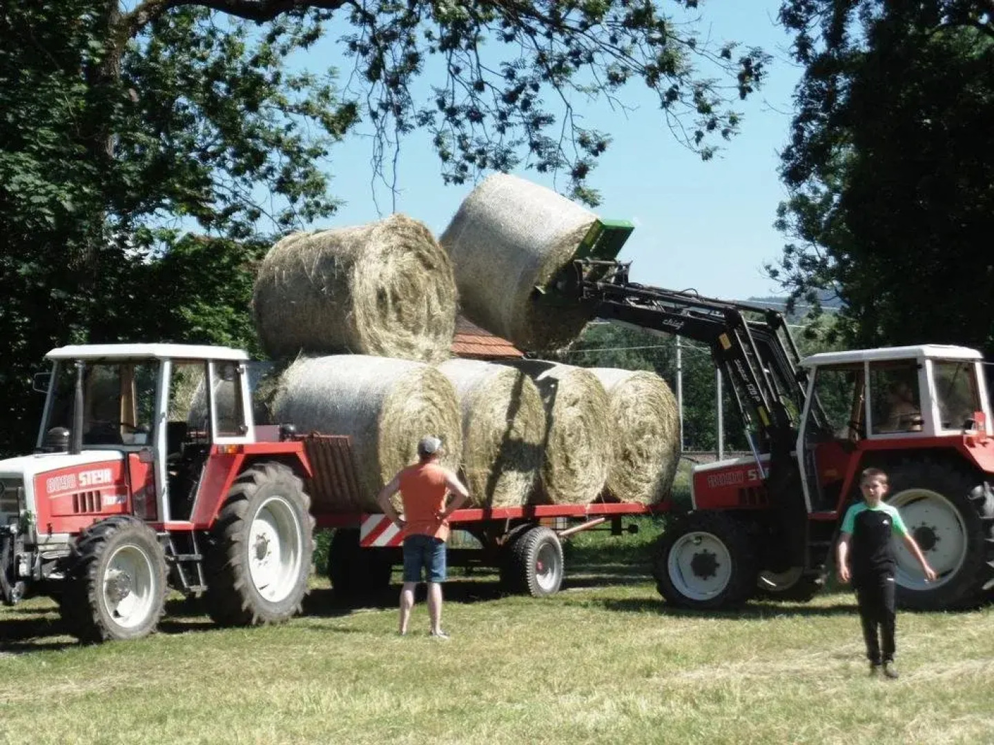 Auszeit Am Ziegenhof Nur Fur Erwachsene "Ferienwohnung" (Adults Only)