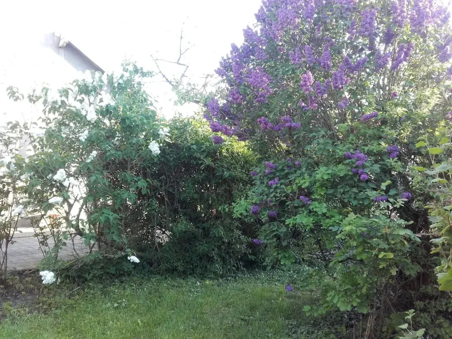 Gîte du lion90 Chambresdulion90