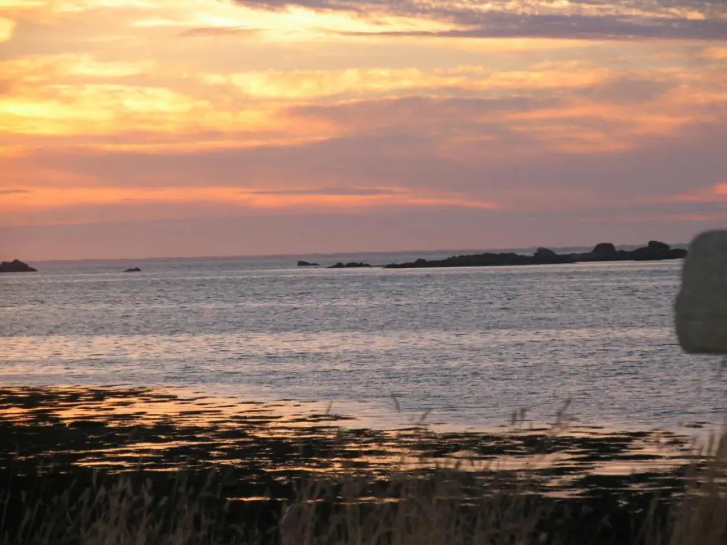 Studio les Trois Etoiles de Mer