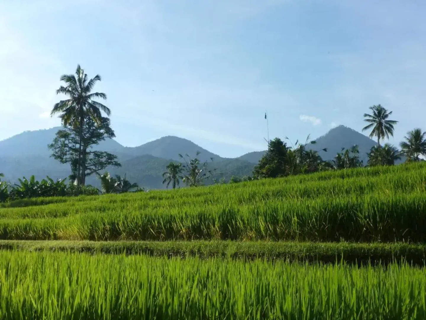 Lesong Hotel and Restaurant