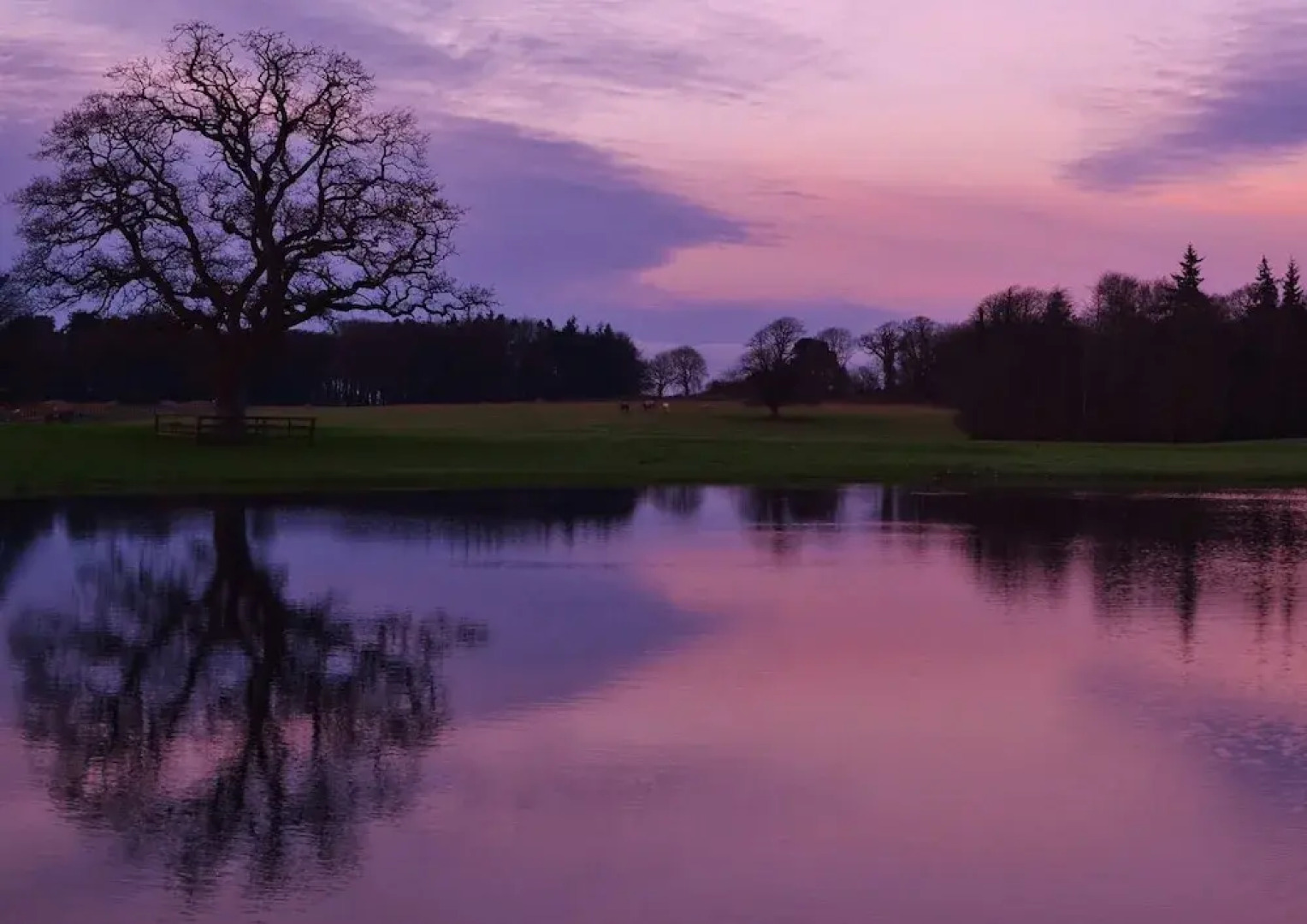 Garryvoe Beach Homes