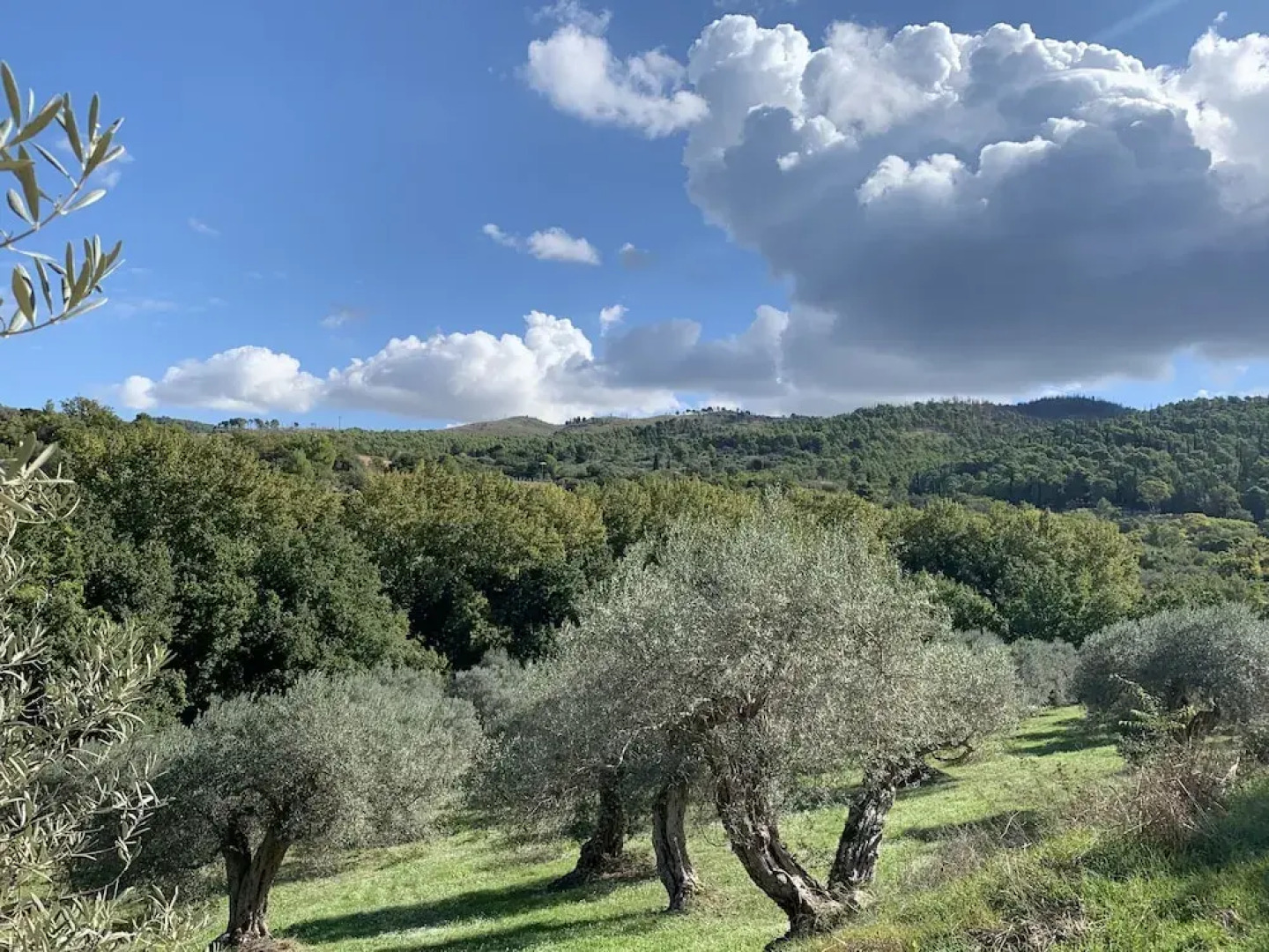 Villa Santa Margherita