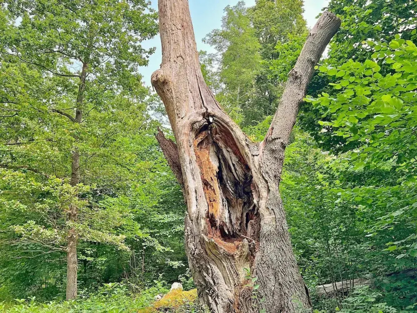 4 Person Holiday Home in Akersberga-by Traum