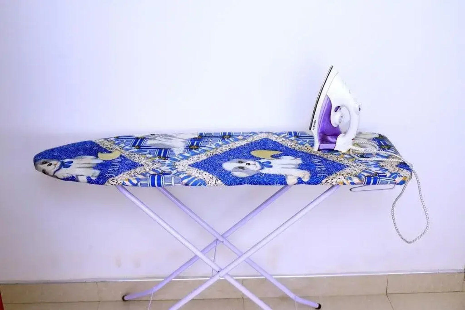 Gandhi Guest House & White Palace