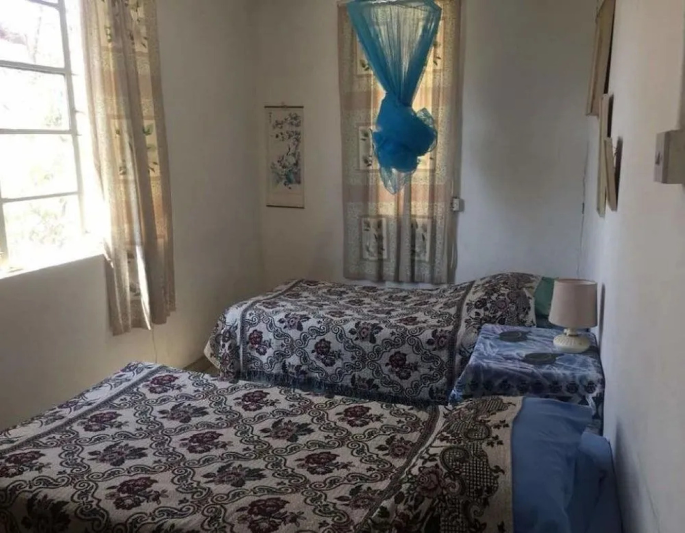 Ann Bruce Backpackers