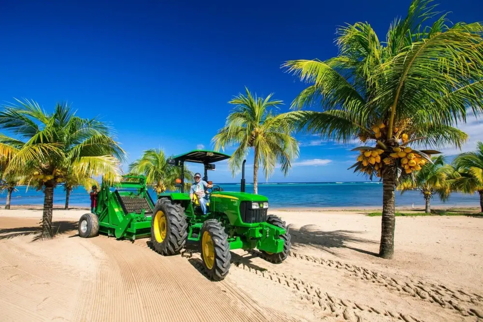 Lawson Rock Lionfish 208