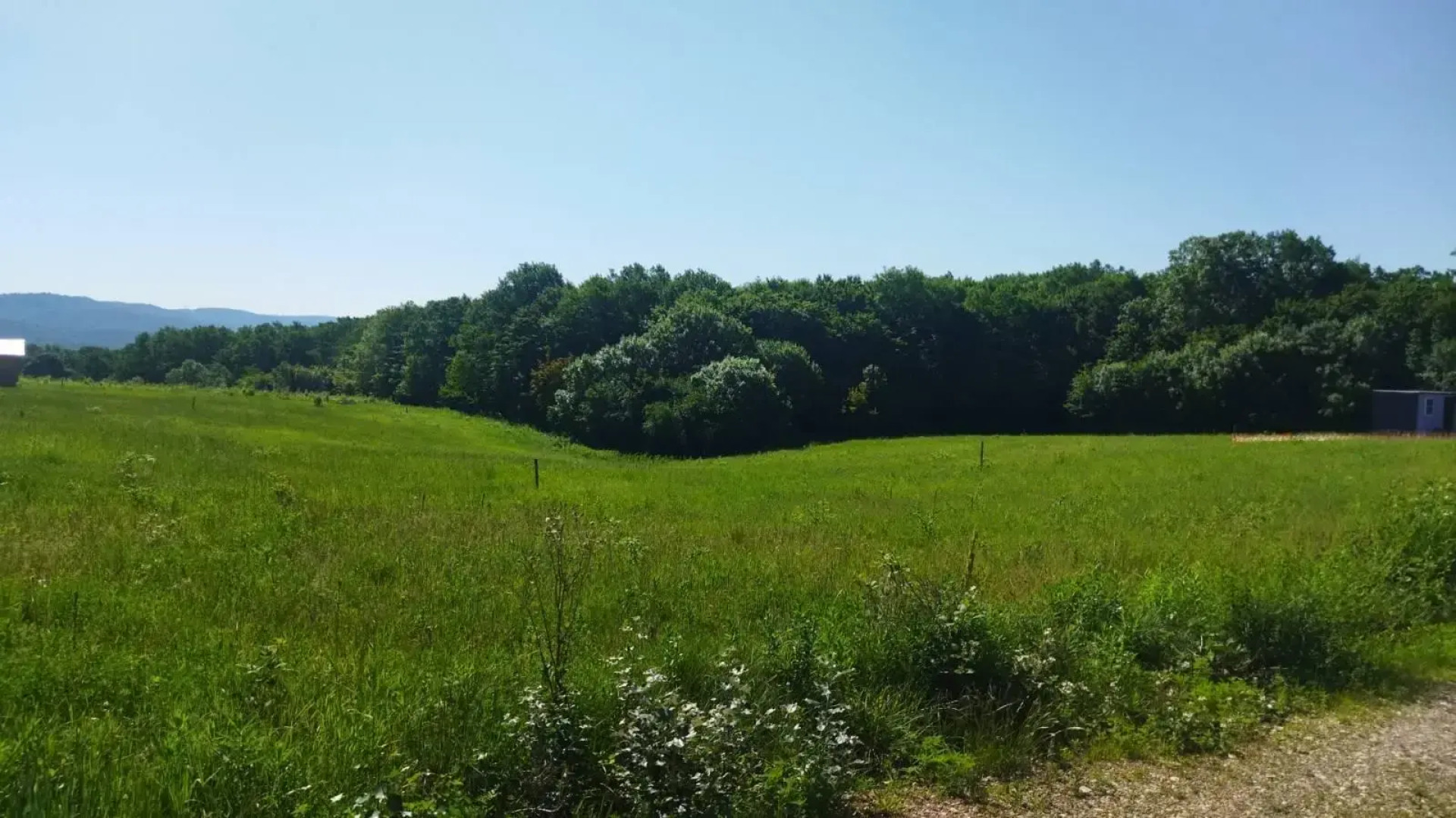 Парк Южного Периода